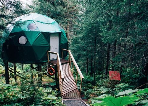 Jungfrau Winter Travel Pass